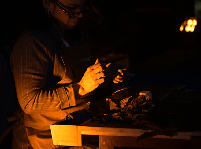 Habanos, S.A. presents the new Trinidad Villa: a tribute to the elegance and cultural heritage of Cuba(图4)